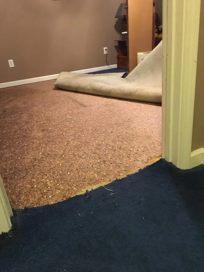 Carpet pad removal revealing water damage during Drying & Dehumidification in Bolivar